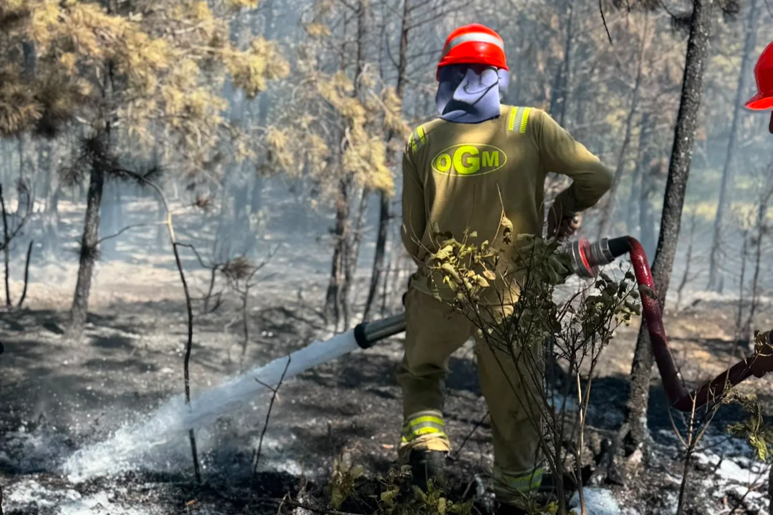 Kastamonu'daki Orman Yangını Söndürüldü Kastamonu'daki Orman Yangını Söndürüldü