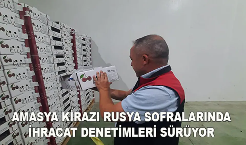 Amasya Kirazı Rusya Yolunda: İhracat Denetimleri Sıkılaştırıldı görseli