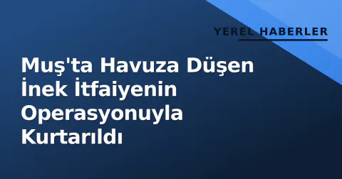Muş'ta Havuza Düşen İnek İtfaiyenin Operasyonuyla Kurtarıldı