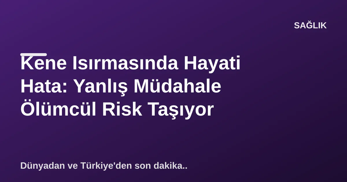 Kene Isırmasında Hayati Hata: Yanlış Müdahale Ölümcül Risk Taşıyor Kene Isırmasında Hayati Hata: Yanlış Müdahale Ölümcül Risk Taşıyor