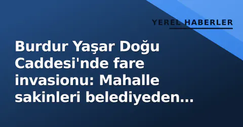 Burdur Yaşar Doğu Caddesi'nde fare invasionu: Mahalle sakinleri belediyeden kalıcı çözüm bekliyor
