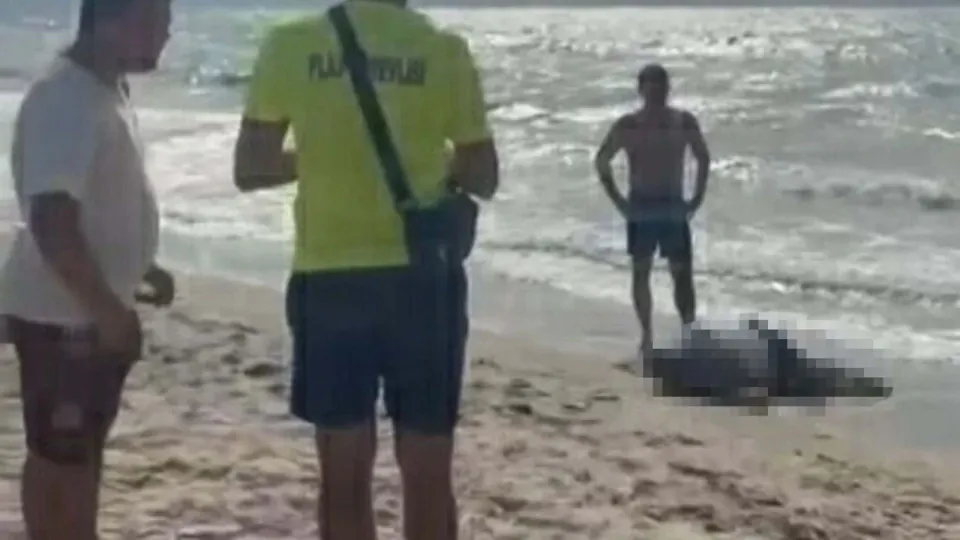 Kuşadası'nda sahilde bulunan ceset Rıza Muslu'ya ait çıktı görseli