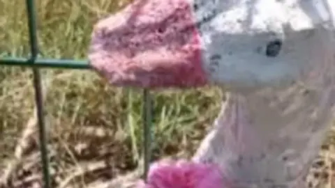 Kırklareli Bahçelerinde Estetik Dönüşüm: Dekoratif Süsler İlgi Çekiyor