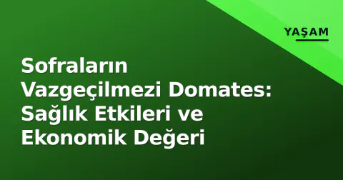 Sofraların Vazgeçilmezi Domates: Sağlık Etkileri ve Ekonomik Değeri