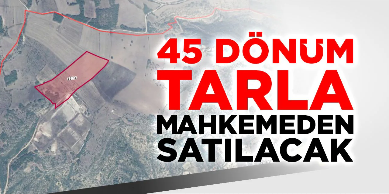 Bilecik Gölpazarı'nda 45 Dönümlük Tarla Satışa Çıkıyor Bilecik Gölpazarı'nda 45 Dönümlük Tarla Satışa Çıkıyor