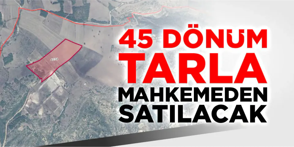 Bilecik Gölpazarı'nda 45 Dönümlük Tarla Satışa Çıkıyor görseli