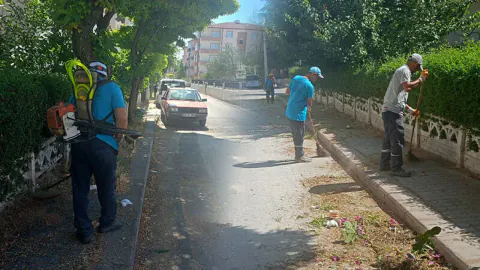 Kütahya'da Mimar Sinan Okulu Çevresinde Geniş Çevre Düzenlemesi