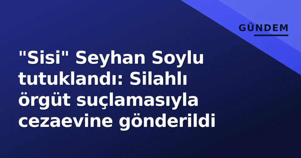 "Sisi" Seyhan Soylu tutuklandı: Silahlı örgüt suçlamasıyla cezaevine gönderildi görseli