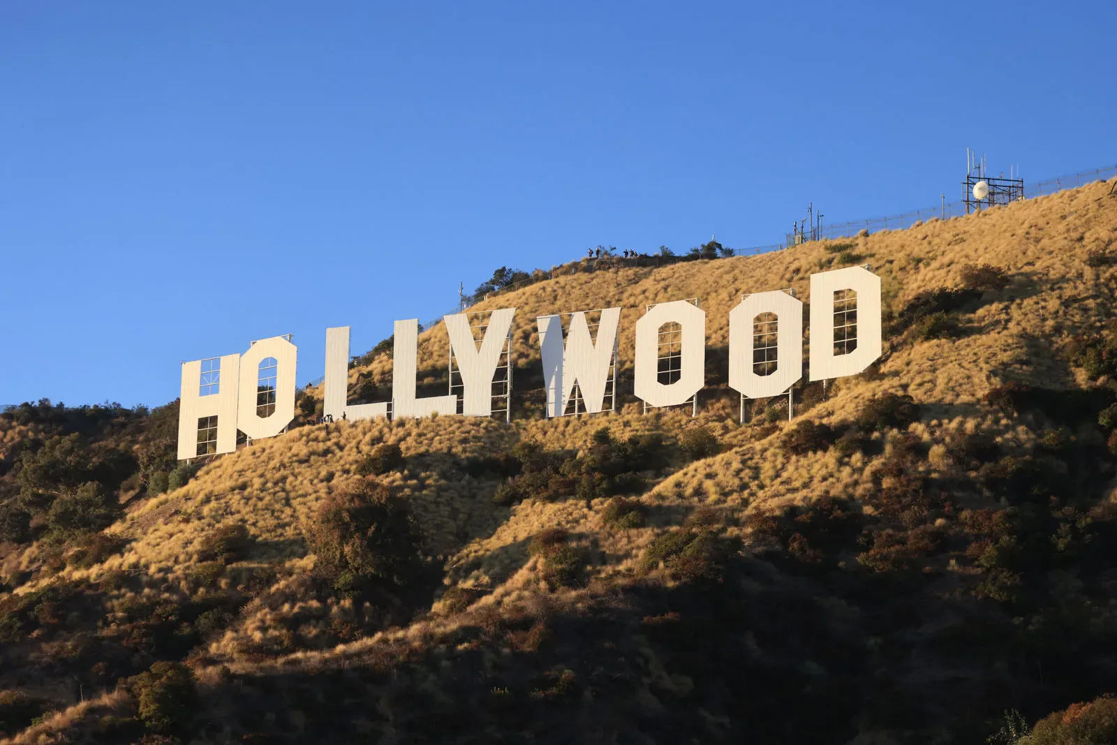 Elliot Page: Kimlik İnşası ve Hollywood'da Temsiliyetin Dönüşümü Elliot Page: Kimlik İnşası ve Hollywood'da Temsiliyetin Dönüşümü
