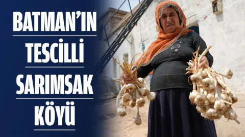 Batman'da Sarımsak Üretimi Geleneği: Kayıklı Köyü'nde Üretim Rekoru