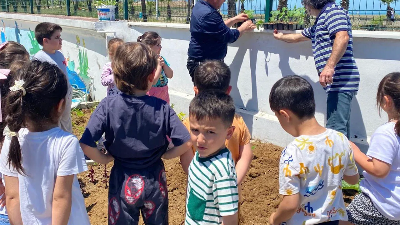 Akçaabat'ta Minik Ellerle Sürdürülebilir Tarım: Yağmur Hasadı ve Fide Dikimi Akçaabat'ta Minik Ellerle Sürdürülebilir Tarım: Yağmur Hasadı ve Fide Dikimi