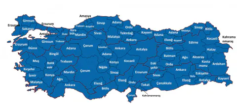 Türkiye'nin en çok vali çıkaran illeri belli oldu: Adana-Erzurum zirvede, Tokat kaçıncı sırada?