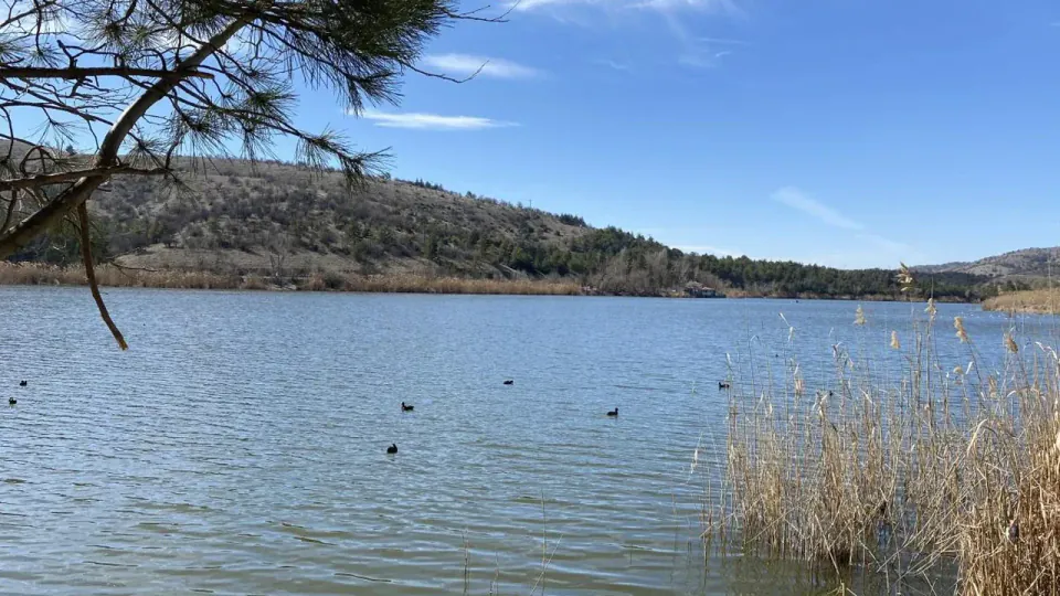 Ankara'da Sonbahar Rengi: Ekim'de Yaprak Dökümünü İzlemek İçin 7 Farklı Park görseli