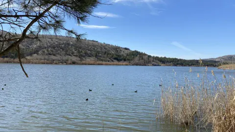 Ankara'da Sonbahar Rengi: Ekim'de Yaprak Dökümünü İzlemek İçin 7 Farklı Park