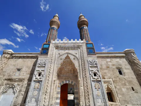 Sivas'ta Turna Göçü Alarmı: Kritik Sulak Alanlarda Koruma Seferberliği