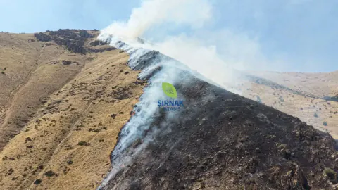 Nimri Dağı'ndaki Yangında Gözaltı: Arı Kovanlarının Sahibi İfade Verdi