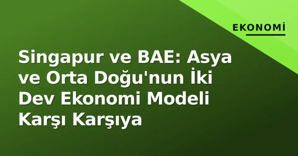 Singapur ve BAE: Asya ve Orta Doğu'nun İki Dev Ekonomi Modeli Karşı Karşıya görseli