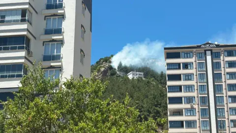 Kahramanmaraş Ahırdağ'da Korkutan Orman Yangını: Son Durum Ne?