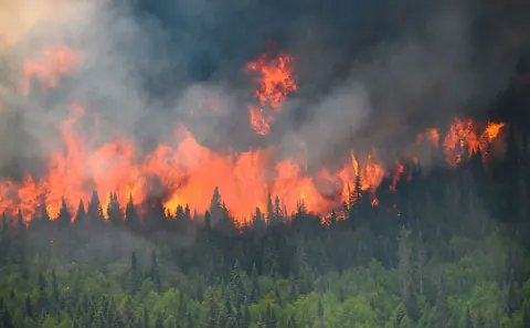 Fire Weather Watch Nedir? Orman Yangınları İçin Kritik Uyarı