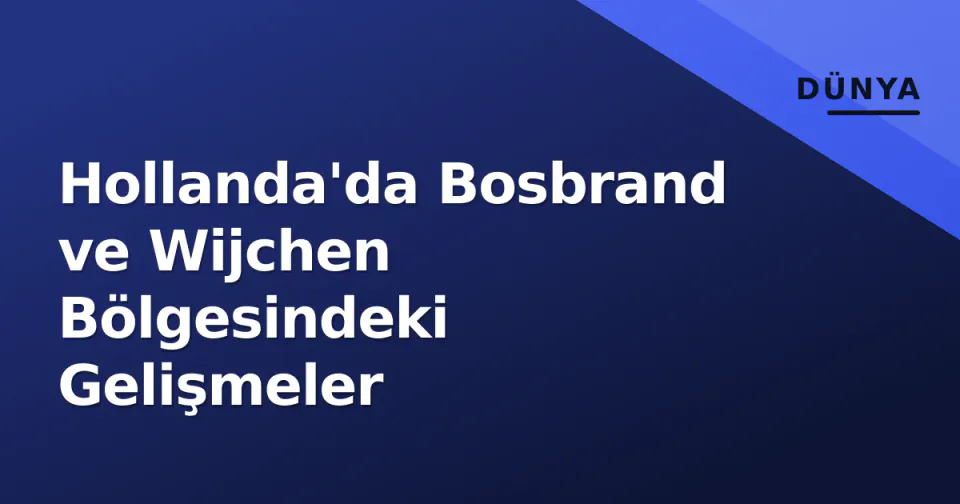 Hollanda'da Bosbrand ve Wijchen Bölgesindeki Gelişmeler görseli