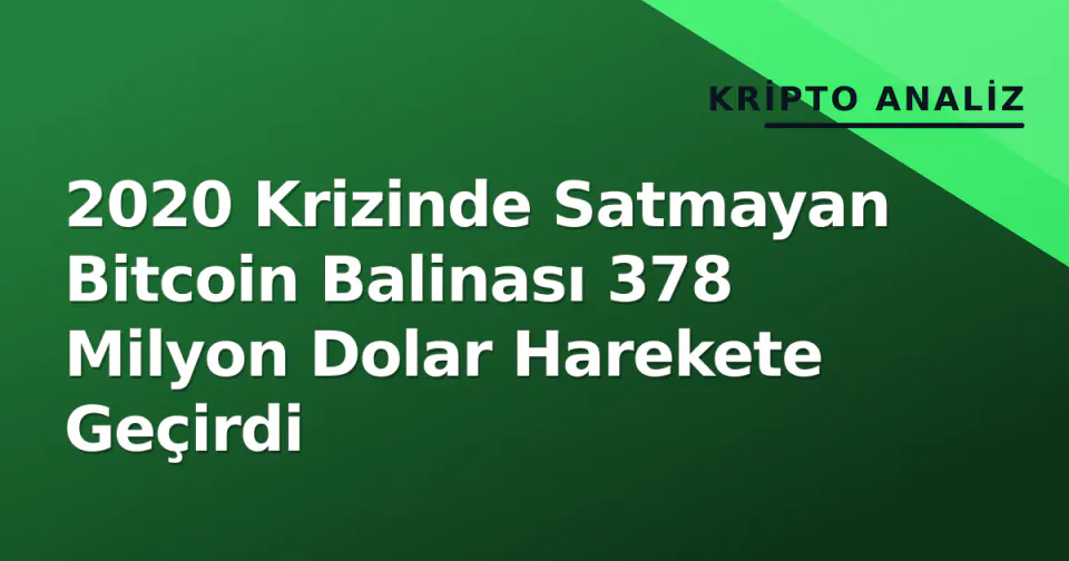 2020 Krizinde Satmayan Bitcoin Balinası 378 Milyon Dolar Harekete Geçirdi görseli