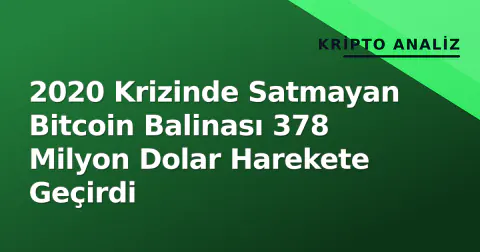 2020 Krizinde Satmayan Bitcoin Balinası 378 Milyon Dolar Harekete Geçirdi