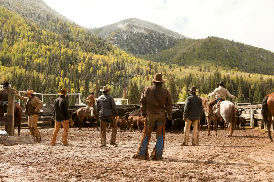 Yellowstone Evreni Genişliyor: Dutton Ranch Dizisi ve Miras görseli