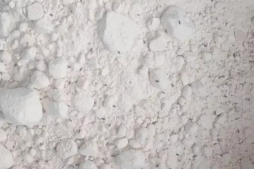 Bartın'da 7,5 ton böceklenmiş un imha edildi, iş yeri mühürlendi görseli