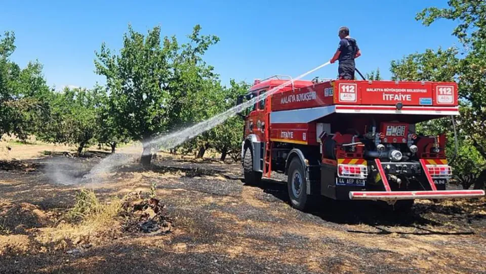Malatya'da 6 İlçede Yangın Paniği: Kayısı Bahçeleri Zarar Gördü görseli