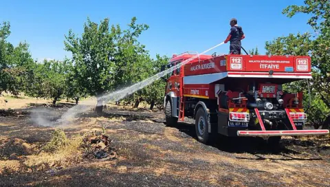 Malatya'da 6 İlçede Yangın Paniği: Kayısı Bahçeleri Zarar Gördü