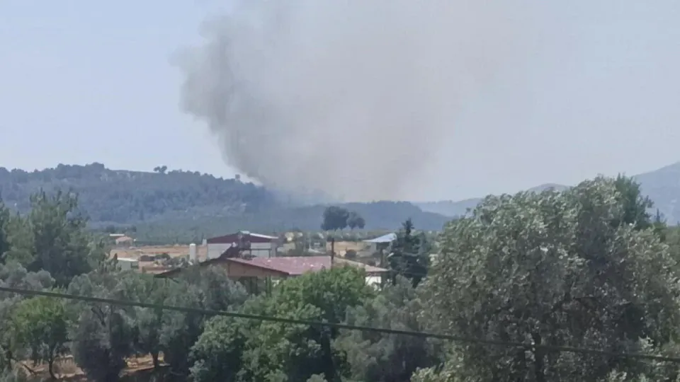 Muğla Seydikemer'de Korkutan Orman Yangını: Alevler Ormana Sıçradı görseli