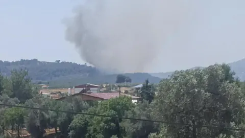 Muğla Seydikemer'de Korkutan Orman Yangını: Alevler Ormana Sıçradı