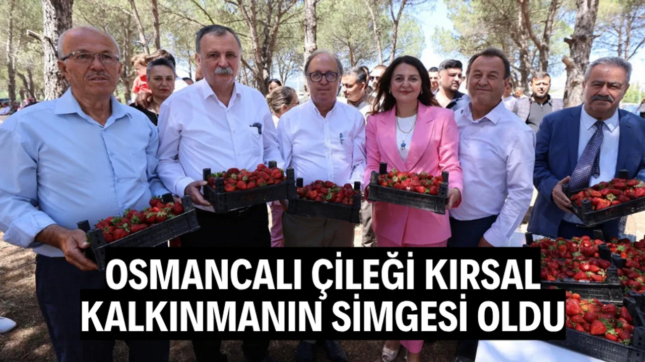 Manisa'da Lezzet Şöleni: Osmancalı Çileği İlk Hasat Şenliği Gerçekleşti Manisa'da Lezzet Şöleni: Osmancalı Çileği İlk Hasat Şenliği Gerçekleşti