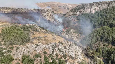 Hatay'daki Orman Yangını Kontrol Altına Alındı