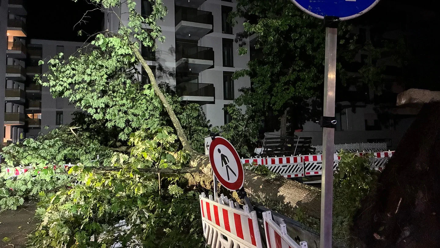 Baden-Württemberg'de şiddetli fırtına: 3 yaralı, tren kaosu ve 40 polis müdahalesi Baden-Württemberg'de şiddetli fırtına: 3 yaralı, tren kaosu ve 40 polis müdahalesi
