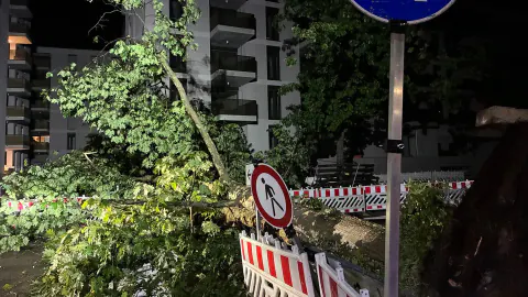 Baden-Württemberg'de şiddetli fırtına: 3 yaralı, tren kaosu ve 40 polis müdahalesi