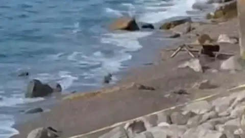 Zonguldak Filyos Sahiline Askeri İHA Düştü: Güvenlik Güçleri Alarmda