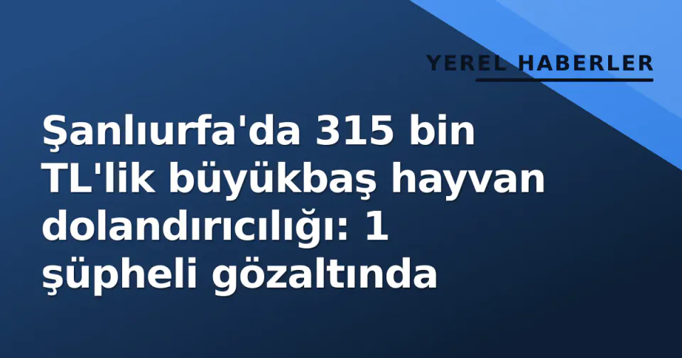 Şanlıurfa'da 315 bin TL'lik büyükbaş hayvan dolandırıcılığı: 1 şüpheli gözaltında görseli