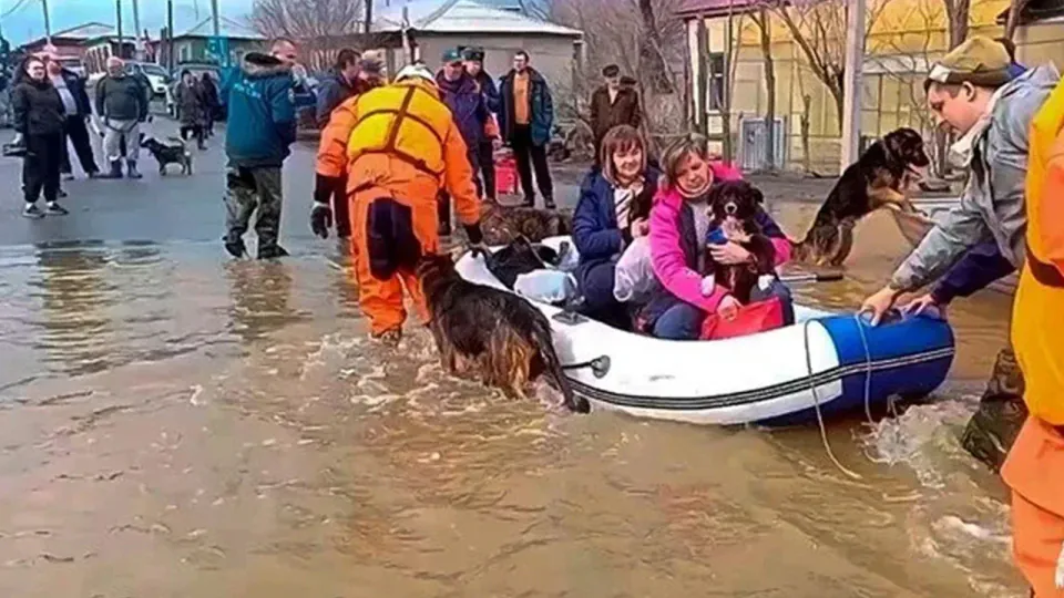 Sverdlovsk Bölgesi'nde Sel Felaketi: Acil Durum İlan Edilmişti görseli