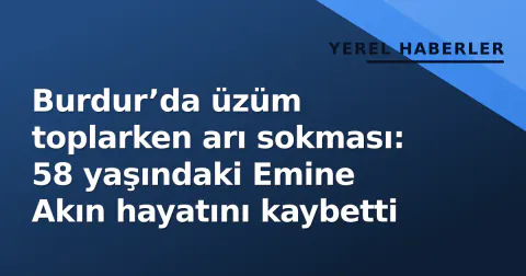 Burdur’da üzüm toplarken arı sokması: 58 yaşındaki Emine Akın hayatını kaybetti