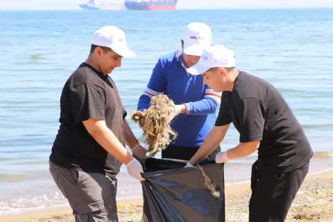 Marmara Denizi İçin Kritik Çağrı: Çiftlikköy Sahillerinde Temizlik Seferberliği