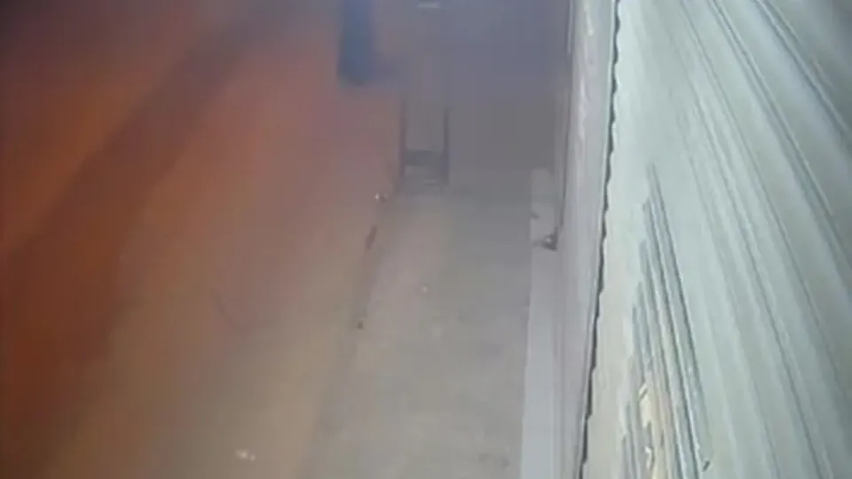 Adana'da şok saldırı: Kimliğini gizlemek için kadın kılığına girdi görseli