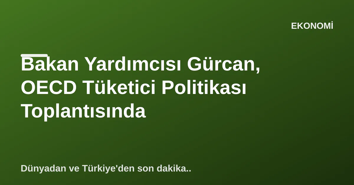 Bakan Yardımcısı Gürcan, OECD Tüketici Politikası Toplantısında Bakan Yardımcısı Gürcan, OECD Tüketici Politikası Toplantısında