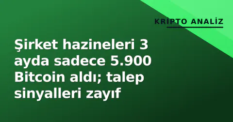 Şirket hazineleri 3 ayda sadece 5.900 Bitcoin aldı; talep sinyalleri zayıf