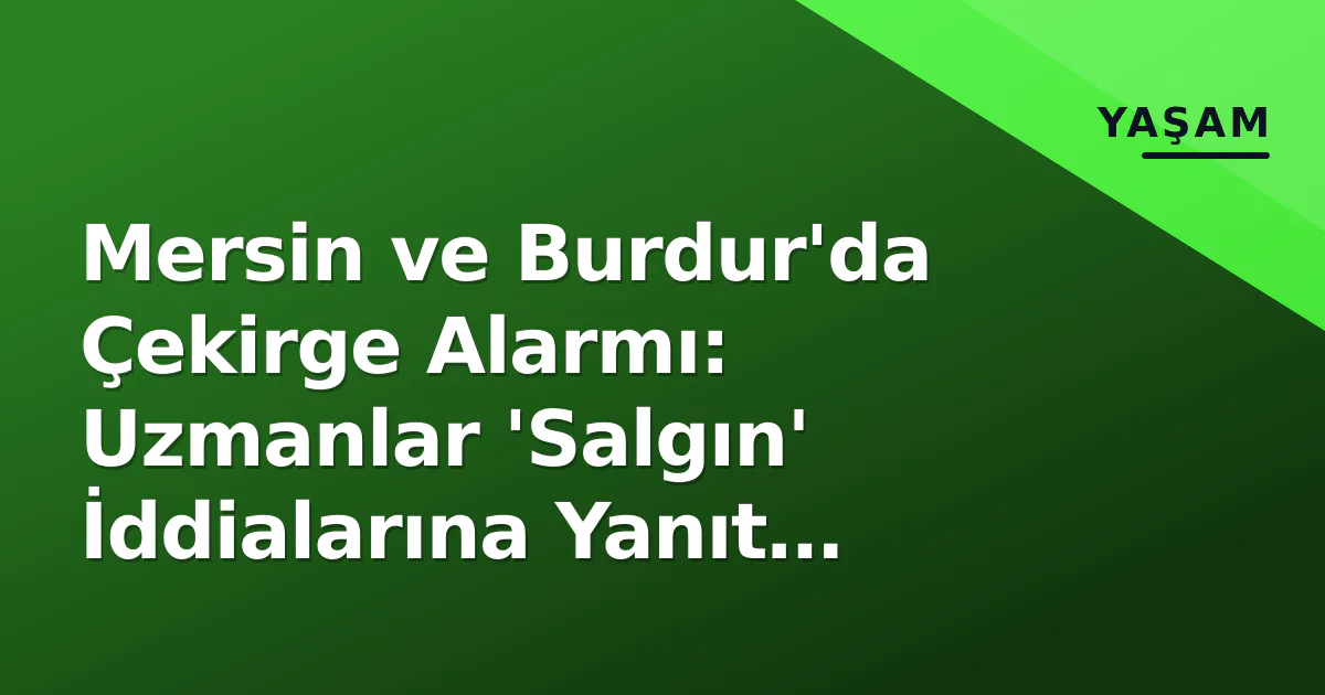 Mersin ve Burdur'da Çekirge Alarmı: Uzmanlar 'Salgın' İddialarına Yanıt Verdi Mersin ve Burdur'da Çekirge Alarmı: Uzmanlar 'Salgın' İddialarına Yanıt Verdi