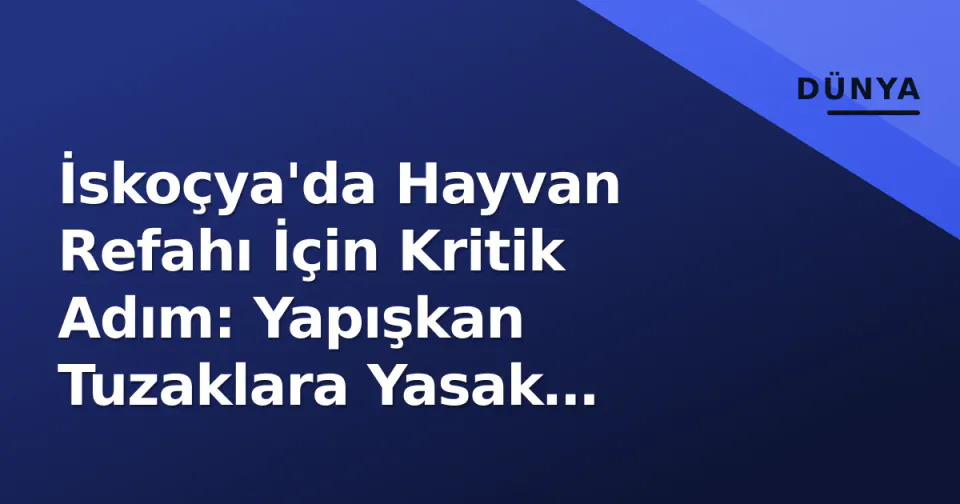 İskoçya'da Hayvan Refahı İçin Kritik Adım: Yapışkan Tuzaklara Yasak Önerisi