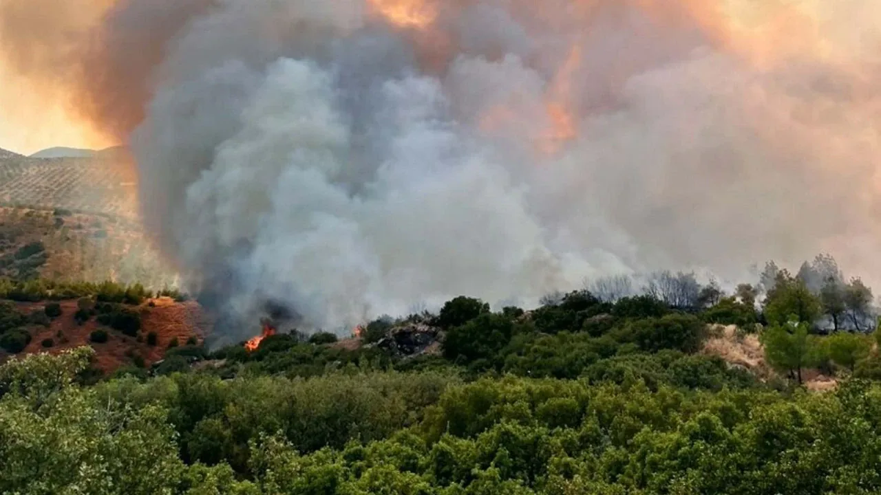 Manisa Kula'da Orman Yangını Alevler Geniş Bir Alana Yayıldı Manisa Kula'da Orman Yangını Alevler Geniş Bir Alana Yayıldı