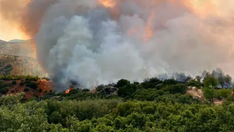 Manisa Kula'da Orman Yangını Alevler Geniş Bir Alana Yayıldı