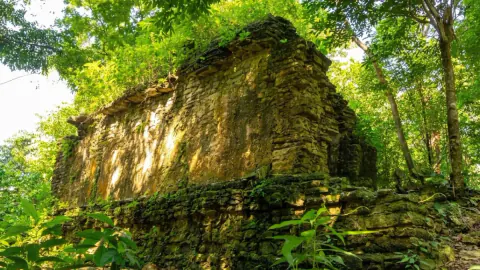 Meksika'da Gizemli Keşif: LiDAR ile Maya Şehirleri Gün Yüzüne Çıkıyor