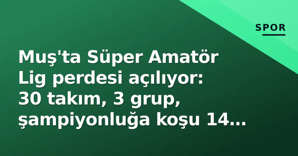 Muş'ta Süper Amatör Lig perdesi açılıyor: 30 takım, 3 grup, şampiyonluğa koşu 14 Eylül'de başlıyor görseli